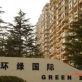 环绿国际别墅实景图