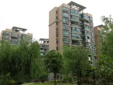 房子在一楼,带一个朝南小花园,南面一排,私密性好