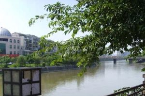 枫桥映月 3室1厅 东 东南