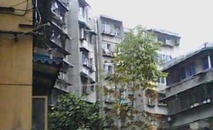 银沙北街91号院 3室1厅 东南