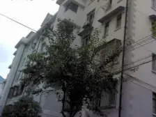 商圈旁 近轻轨 交通便利 户型采光好 电梯房