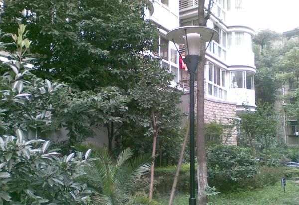 西府花园实景图