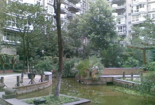 西府花园实景图