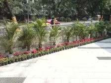 大坪 新元居一房44.8万