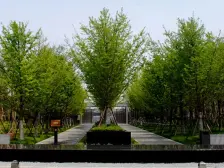 万科青山湖 四房四卫 有中 央空调带地暖 品质小区