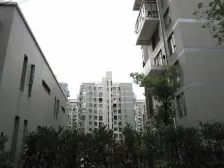 南北通透 精装修 电梯采光佳 实用面积多