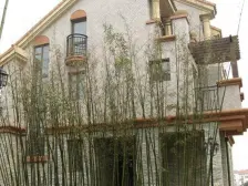 现场实勘,无抵押,随时看房 必看好房