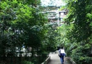 太升北路54号3室2厅西南