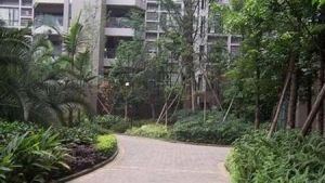 花木林3室1厅南