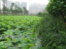 南湖国际社区5室1厅东东南