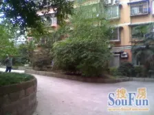 商圈正规二房 户型方正 出行方便