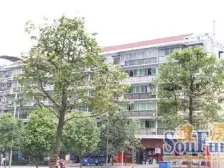 采光装修保持好 户型方正 使用面积多位置好 出脚方便