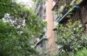 东风路北一巷小区实景图