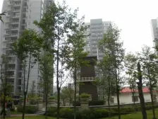 人和 龙庭雅居二房66万