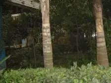 三峡广场树ren小三室,采光好,装修好