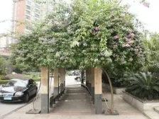 圣地大厦 4室1厅 东南