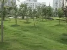 新牌坊 精装一居室 采光好 交通方便