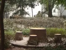 家合苑(西政) 3室 1厅 104.2平米