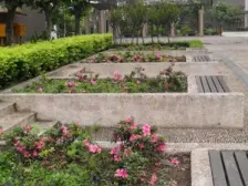 大西洋国际 1室0厅 东