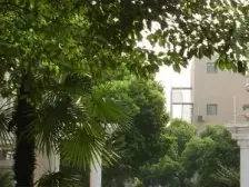 【日式风格精装】中间楼层 双地铁 中间位置