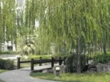 小区中间位置 看房随时 地铁14号线 五年V一全南双阳台