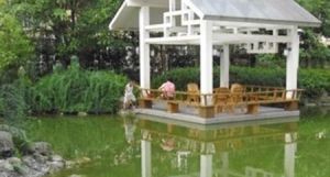 宗申流溪别院3室2厅南