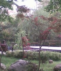 宗申流溪别院3室1厅西南南