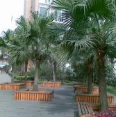 宗申流溪别院4室2厅南北