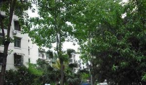 棕南西街5号 2室2厅 东南