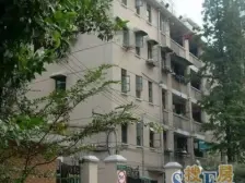 石坪桥 石坪桥正街、横街片区二房36万