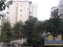 李家沱 麒龙山水一房31.5万