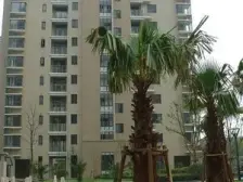 达安春之声(二期) 1室2厅 南