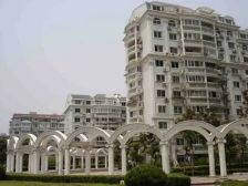 :满五一頂复大四房有大露台不靠马路,位置好采光好