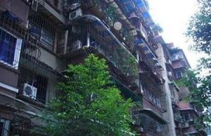 正通顺街2号5室2厅南西南