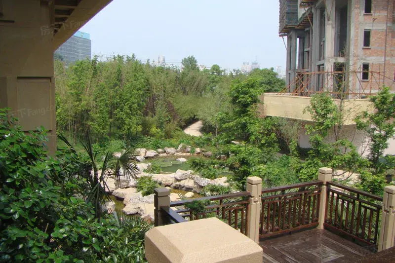 实景图