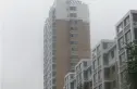 东湖庭园实景图