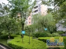 大七房,房型方正,看房方便,大露台