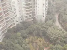 大坪 大坪正街八房99万