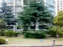 2T4户,位置安静,通风采光好,满五薇一,产权清晰