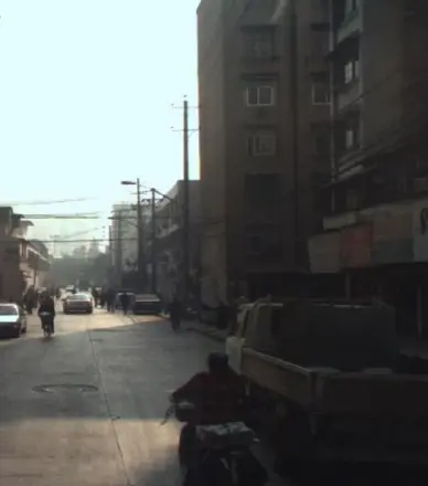 紫沙阁实景图