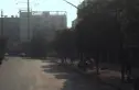 紫沙阁实景图