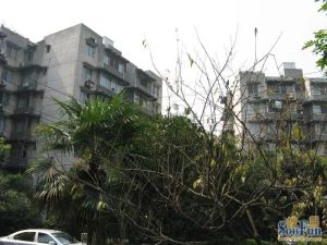 百寿路7号2室1厅南北