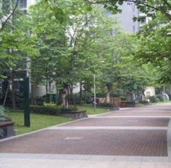 汇融云庭3室2厅东南
