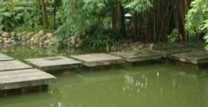 东景康庭2室1厅东