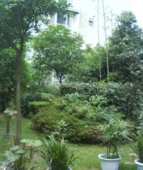 东景康庭2室1厅南北