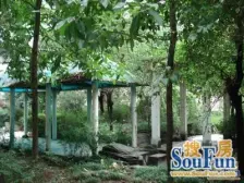 人和 人和丽景二房80万