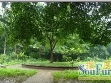 正规两室一厅 采光好 户型方正 住家装修 拎包入住