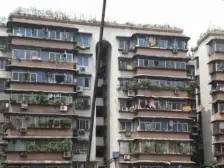 杨家坪 杨馨花园二房39万