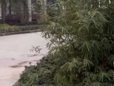 佣金3666元 老城区 嘉陵村二房35万