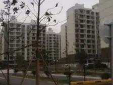 好楼层,南北通飞机户型,总价低,